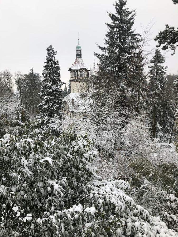 Villa Eden Mulhouse Esterno foto
